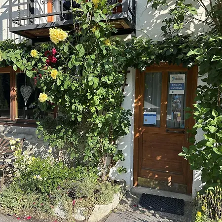 Casa de hóspedes Apartpension Schollberg