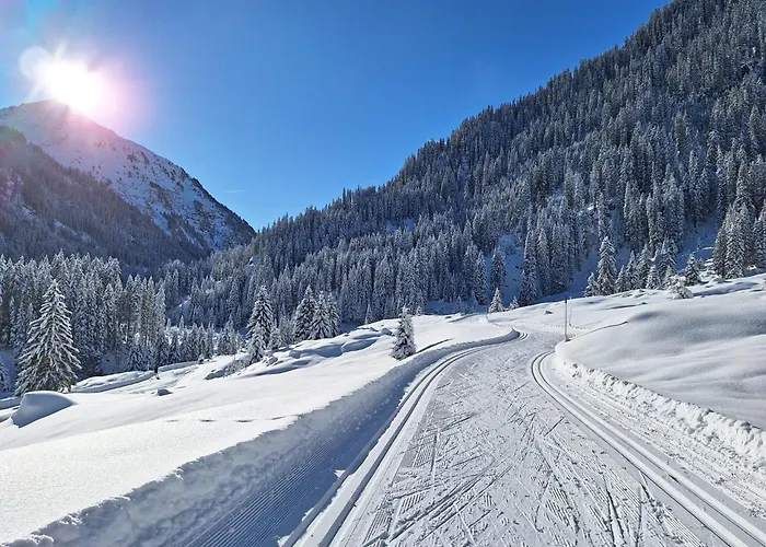 بيت ضيافة Apartpension Schollberg 3*